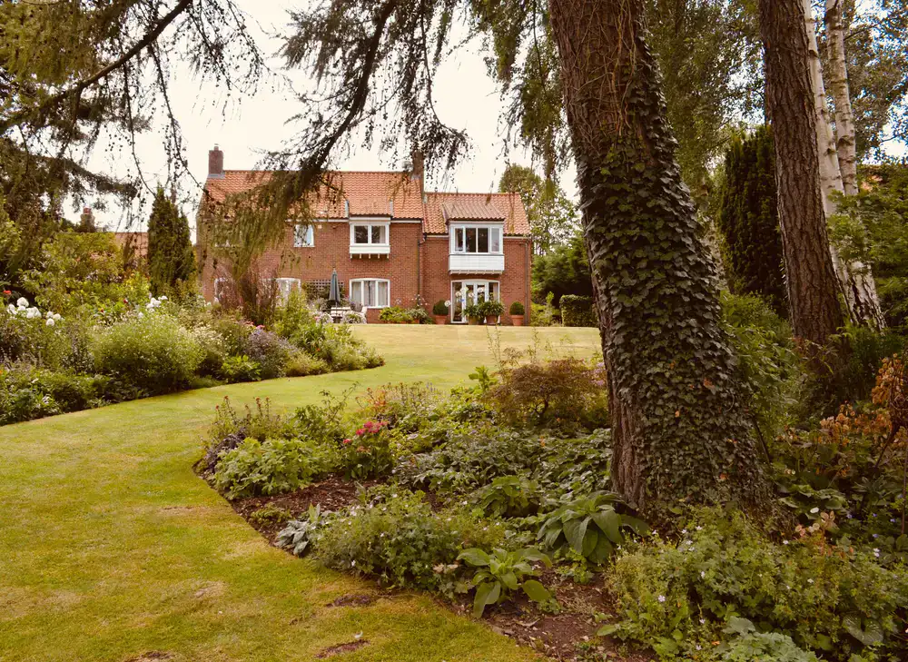 Traditional cottage garden style planting