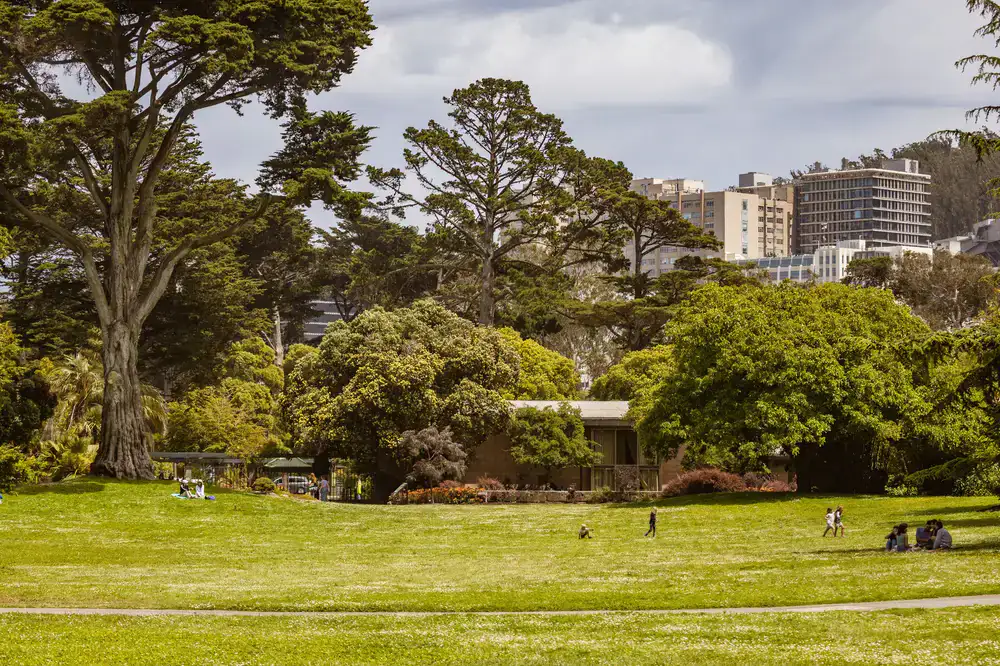 Generous open lawn in a family friendly layout