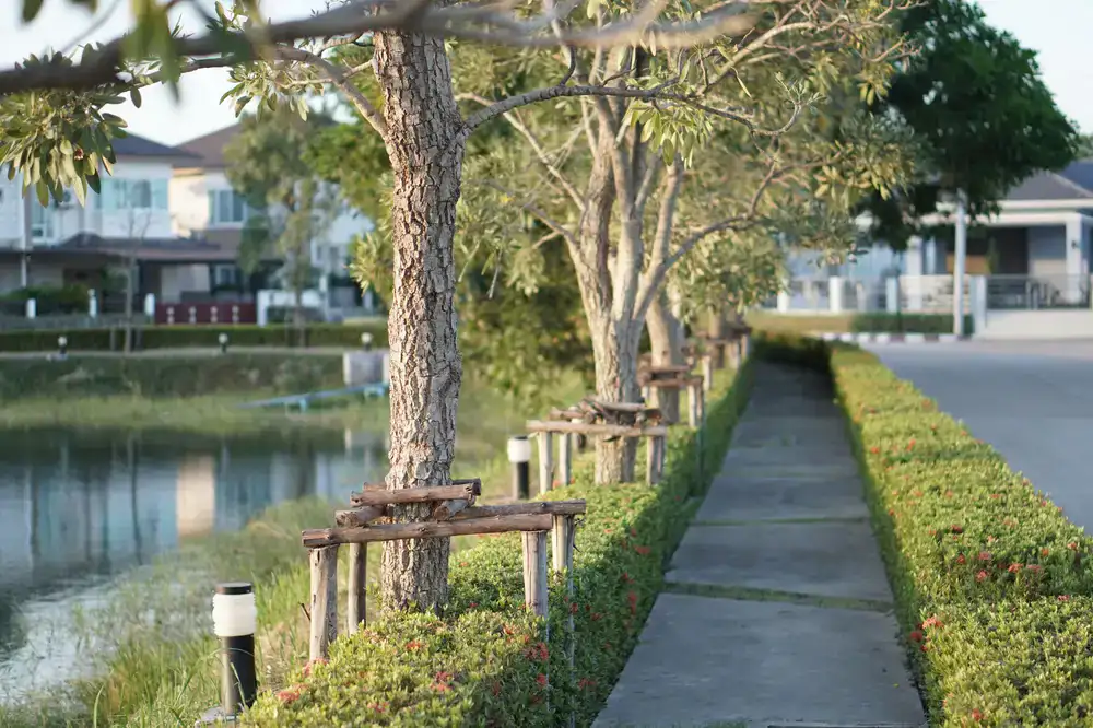 A finely manicured garden path showing thoughtful landscaping